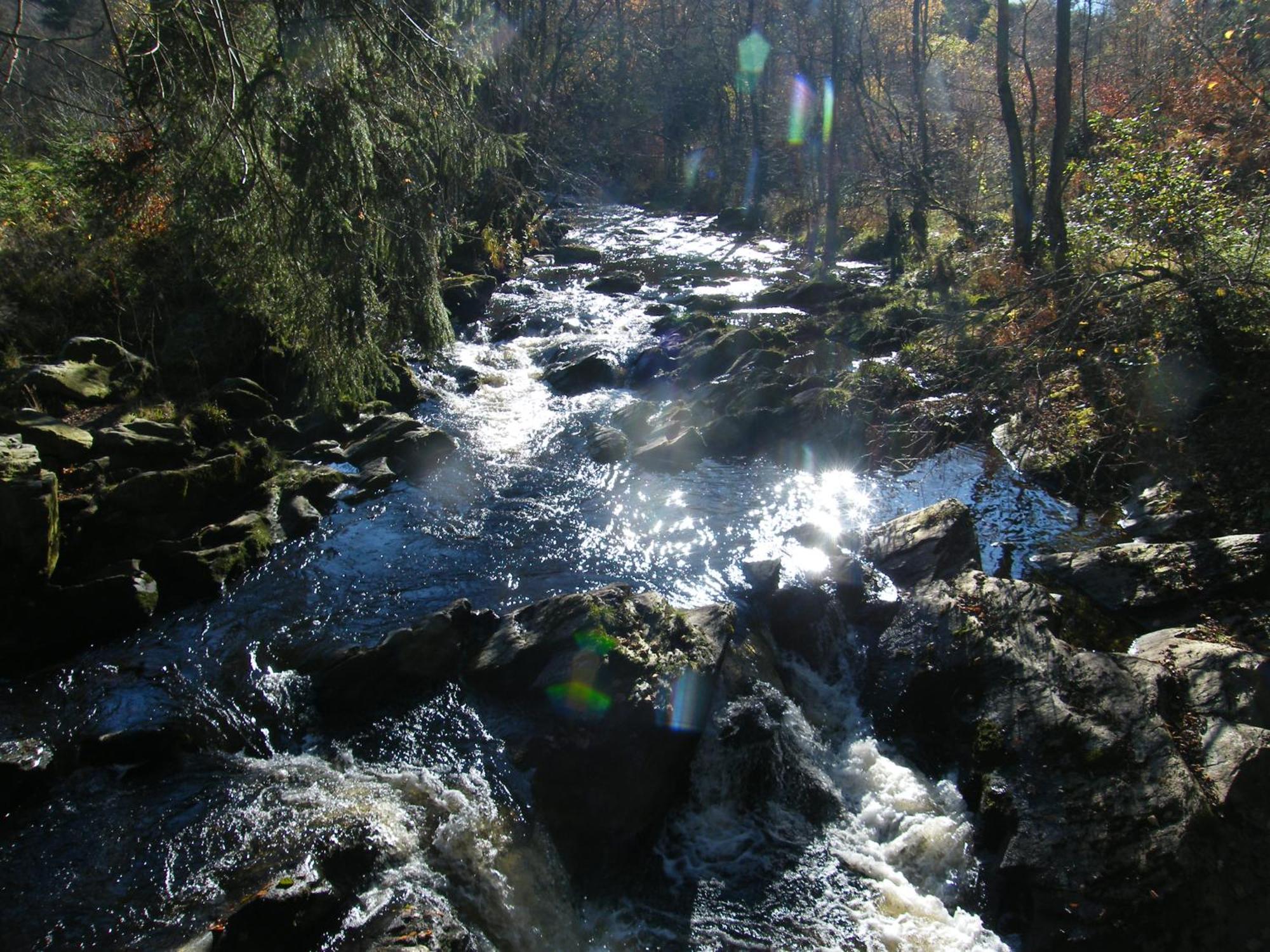 Apartment Am Fluss Im Haus An Der Rur Monschau Luaran gambar